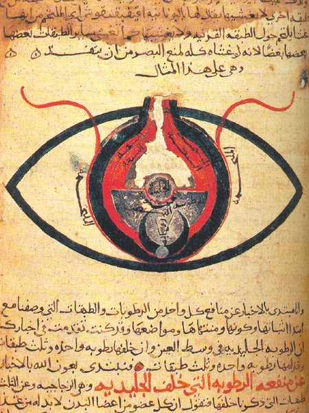 An Arabic manuscript, dated 1200CE, titled Anatomy of the Eye, authored by al-Mutadibih