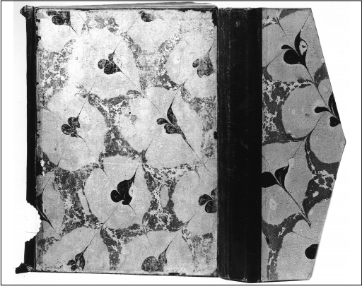 غشاء من الورق المجزع. باريس رقم BnF suppl. persan 1500، الدفة السفلى والصدر والأذن.